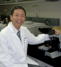 shihle-ming Ie-Ming Shih, M.D., Ph.D., Professor, Pathobiology Graduate Program, Department of Pathology, Johns Hopkins University, Baltimore, Maryland