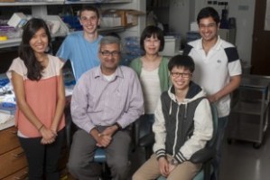 Rice University Researchers