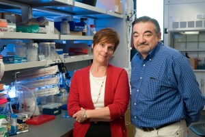 stanford metastasis_news